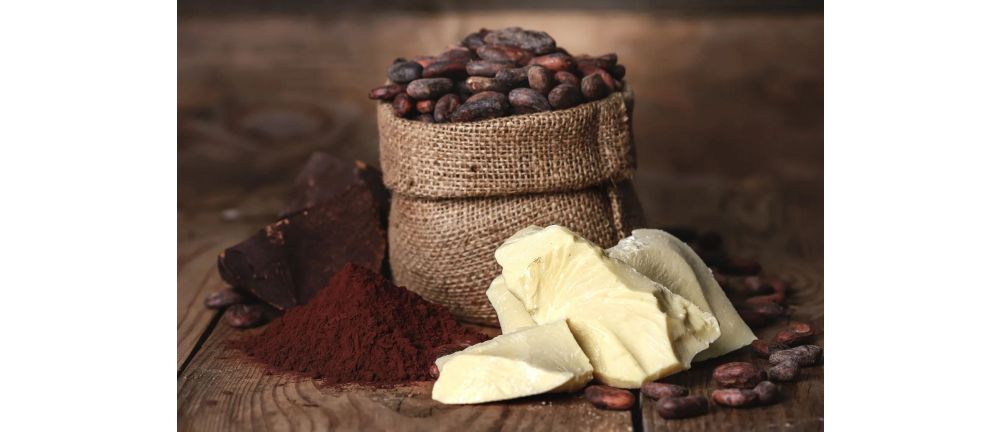 Characterizing Cocoa Powder