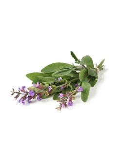 8 fl. oz. Clary Sage Oil