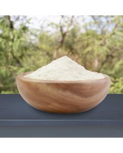 Aloe Vera Powder - Organic