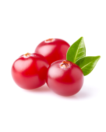 Cranberry Seed Oil - Virgin