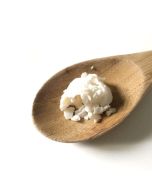 Illipe Nut Butter
