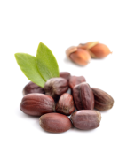 Jojoba Butter - White