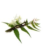 Neem Oil -  Virgin