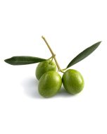 Olive Wax
