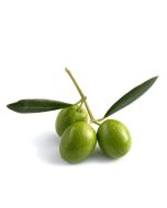 Olive Oil - Pomace 
