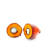 Palm Kernel Oil - RBD RSPO MB