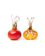 Rosehip Oil - Virgin Organic