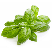 Basil Oil