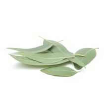 Cajeput Oil