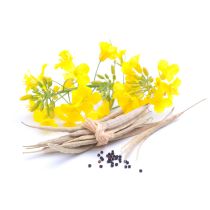 Canola Oil - Organic
