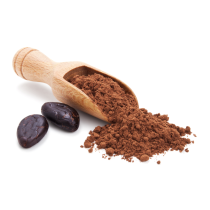 Cocoa Powder Dutched 20/22 Fat - Organic