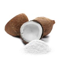Fractionated Coconut (MCT) Powder - Organic