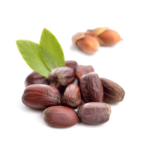 Jojoba Butter - White