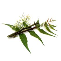 Neem Oil - Virgin Organic