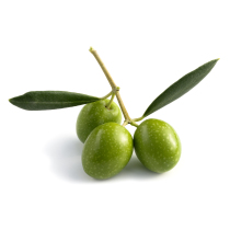 Olive Wax