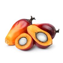 Red Palm Oil - Virgin Organic RSPO IP