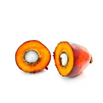 Palm Kernel Oil - RBD RSPO MB