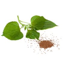 Perilla Seed Oil