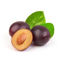 Plum Kernel Oil - Virgin Organic