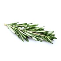 Rosemary Extract - 5%