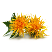 Safflower Oil - High Oleic