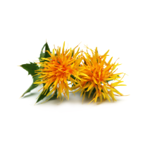 Safflower Oil - High Oleic Organic