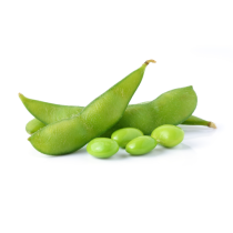 Soy Lecithin - Liquid Organic