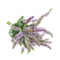 Spearmint Oil