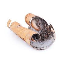 Sweet Birch Oil