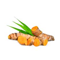 Turmeric Oil - Steam Distilled