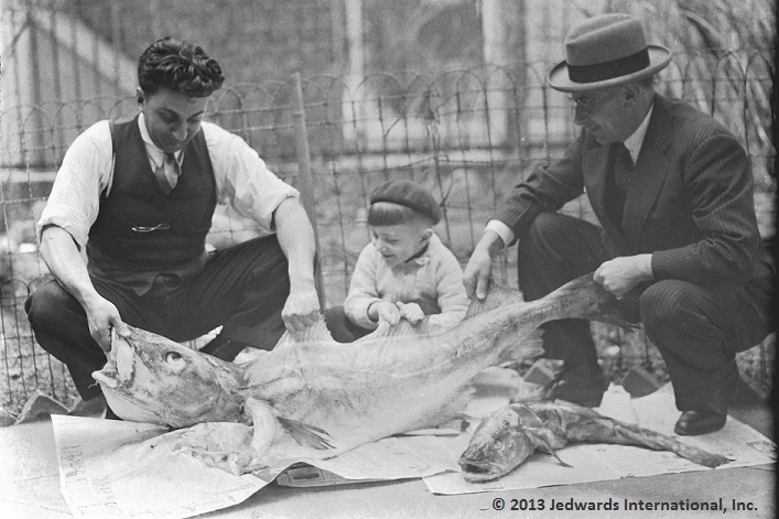Jedwards family in 1940's processing cod liver oil